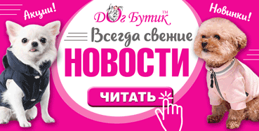 Новости